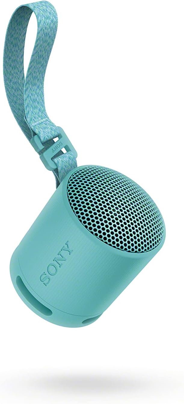SRS-XB100 Portable Bluetooth Speaker