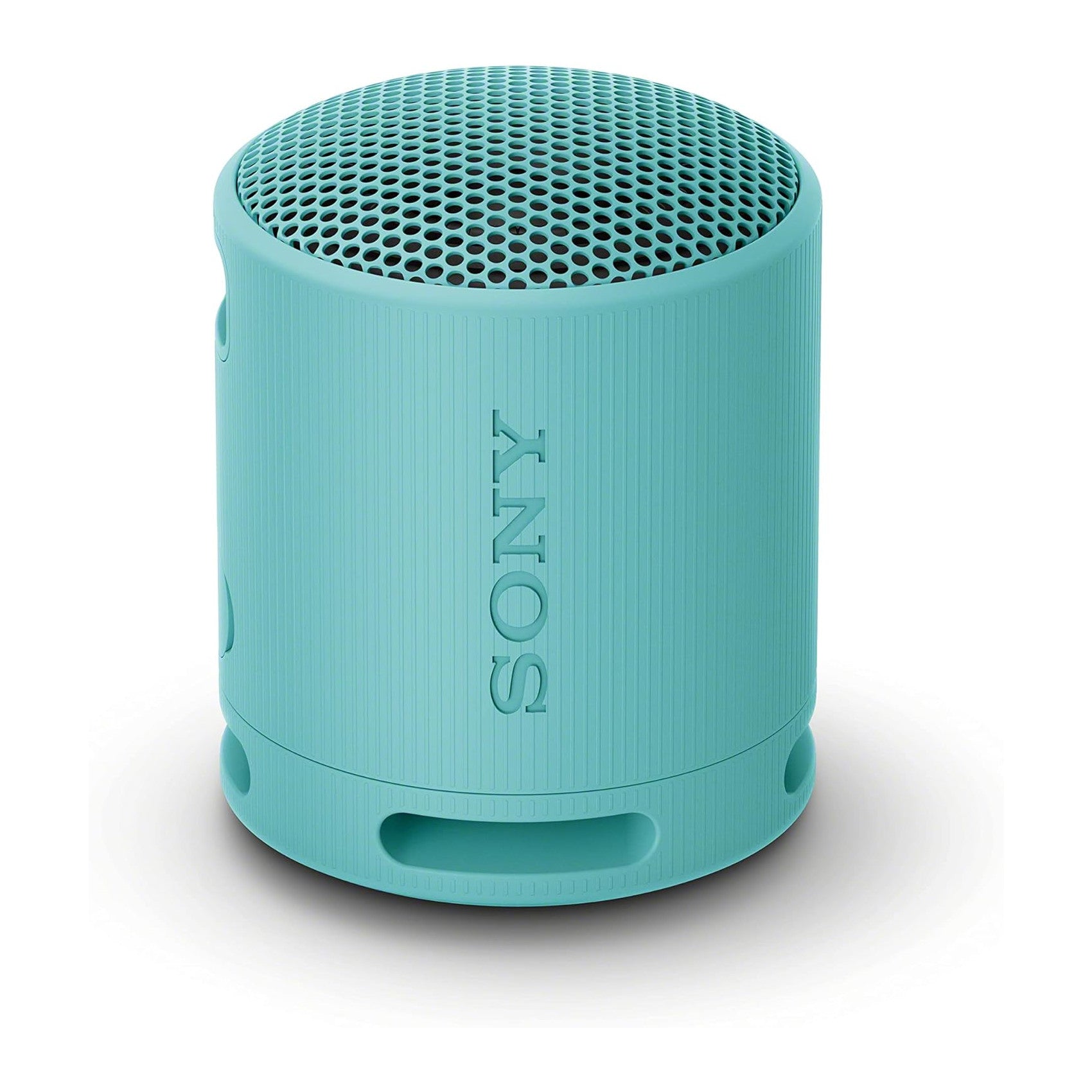 SRS-XB100 Portable Bluetooth Speaker
