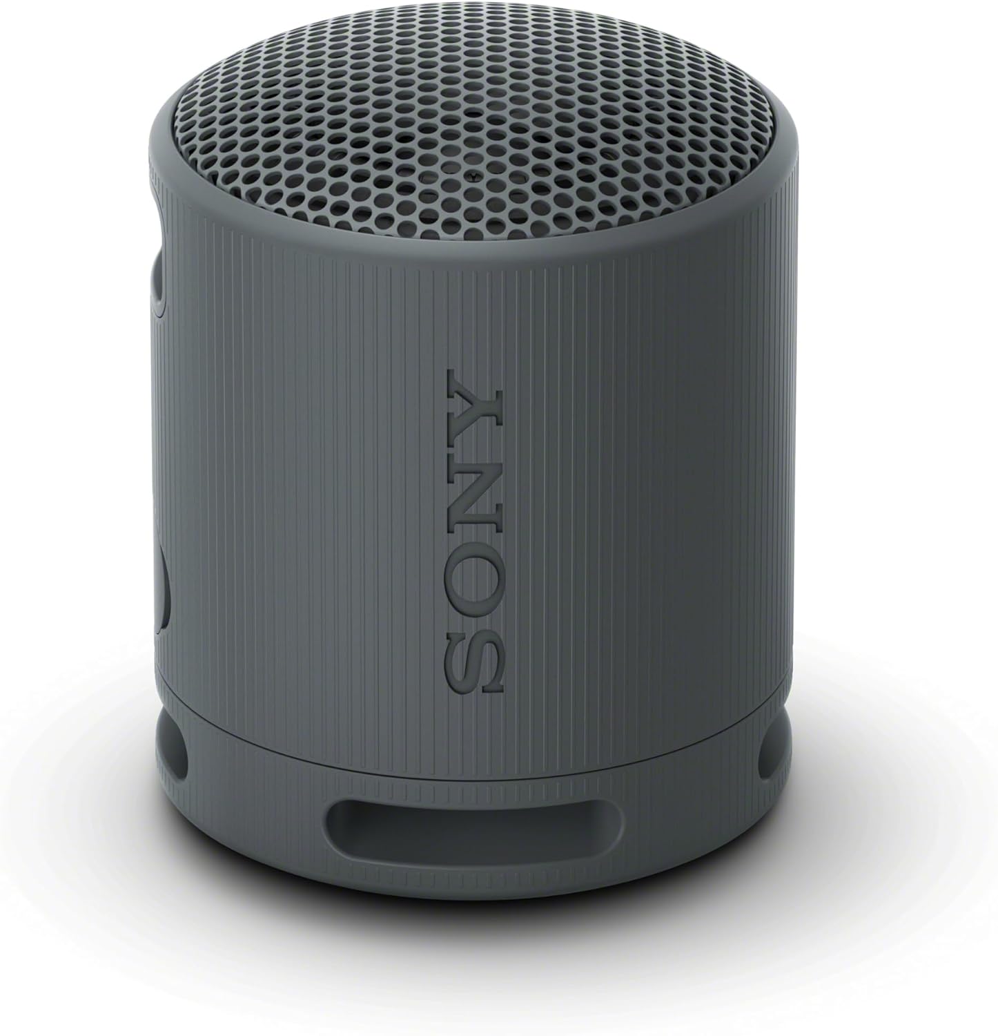 SRS-XB100 Portable Bluetooth Speaker