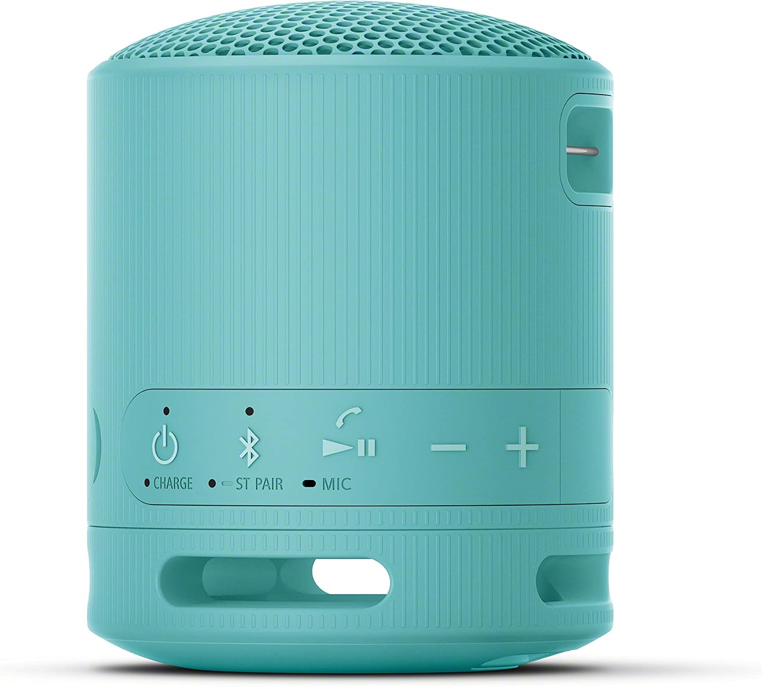SRS-XB100 Portable Bluetooth Speaker