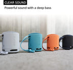 SRS-XB100 Portable Bluetooth Speaker