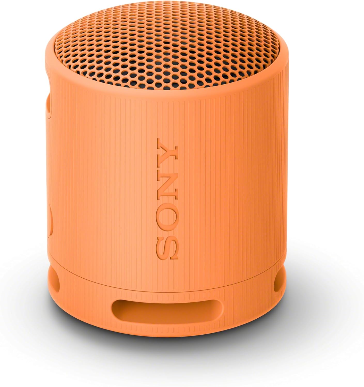 SRS-XB100 Portable Bluetooth Speaker