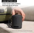 SRS-XB100 Portable Bluetooth Speaker