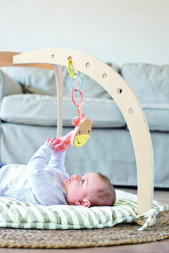 Wooden Activity Gym Play Set