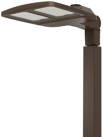 Bronze Flood Light