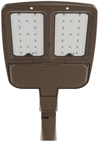 Bronze Flood Light