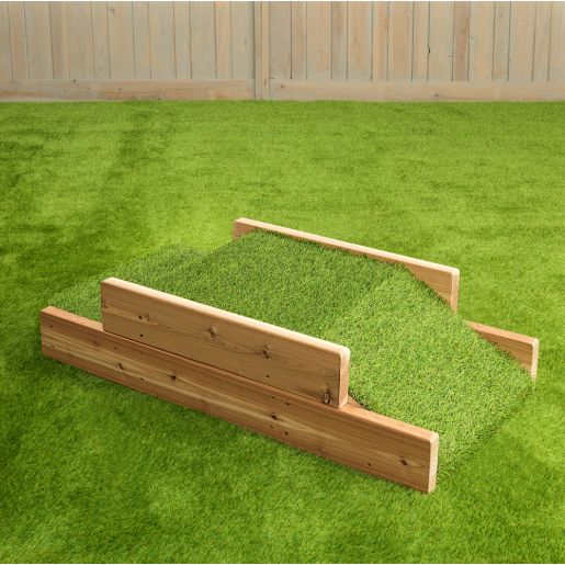INFANT/TODDLER STEP & RAMP
