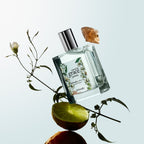 Perfume bottle labeled 'amour grace' with floral design, surrounded by a lime, orange, and plant branch on a light background.